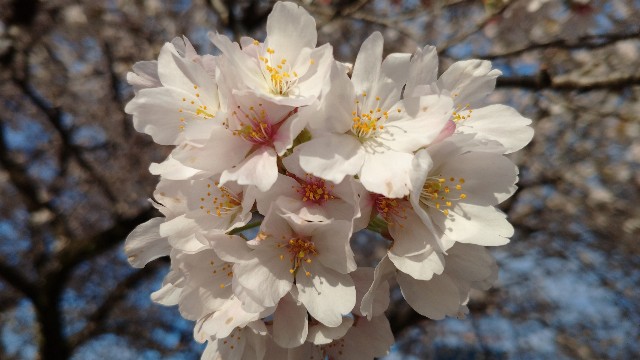 f:id:takadera:20230328171828j:image f:id:takadera:20230328171828j:image