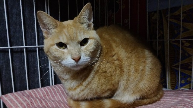 f:id:takadera:20230328225317j:image f:id:takadera:20230328225317j:image