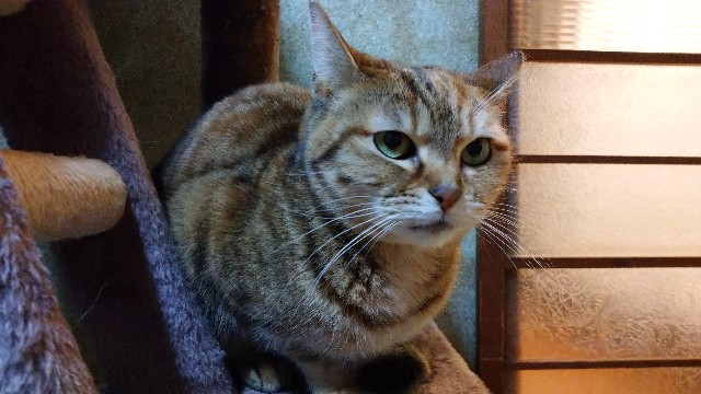 f:id:takadera:20230328225327j:image f:id:takadera:20230328225327j:image