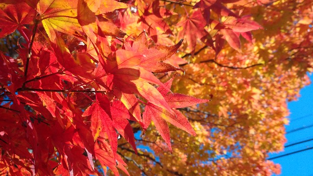 f:id:takadera:20231025083055j:image