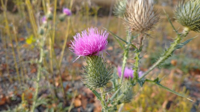 f:id:takadera:20231025083202j:image