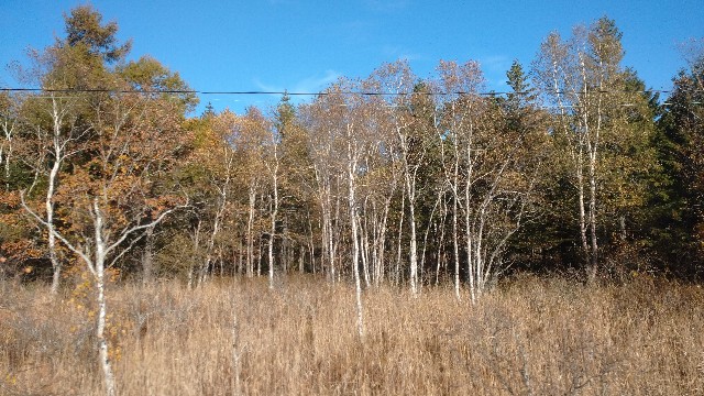 f:id:takadera:20231025221853j:image