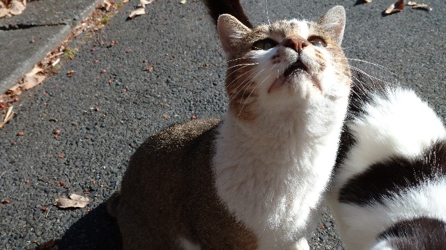 f:id:takadera:20231208172112j:image f:id:takadera:20231208172112j:image