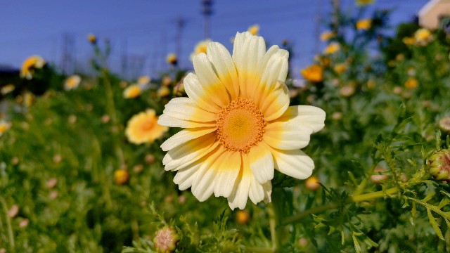 f:id:takadera:20250507093930j:image