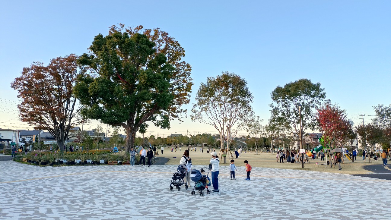 f:id:takadera:20251115162053j:image f:id:takadera:20251115162053j:image