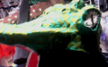 f:id:takaedemo:20110708064005j:image:medium:left