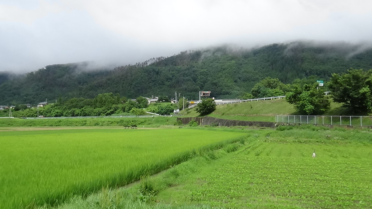 長野自動車道
