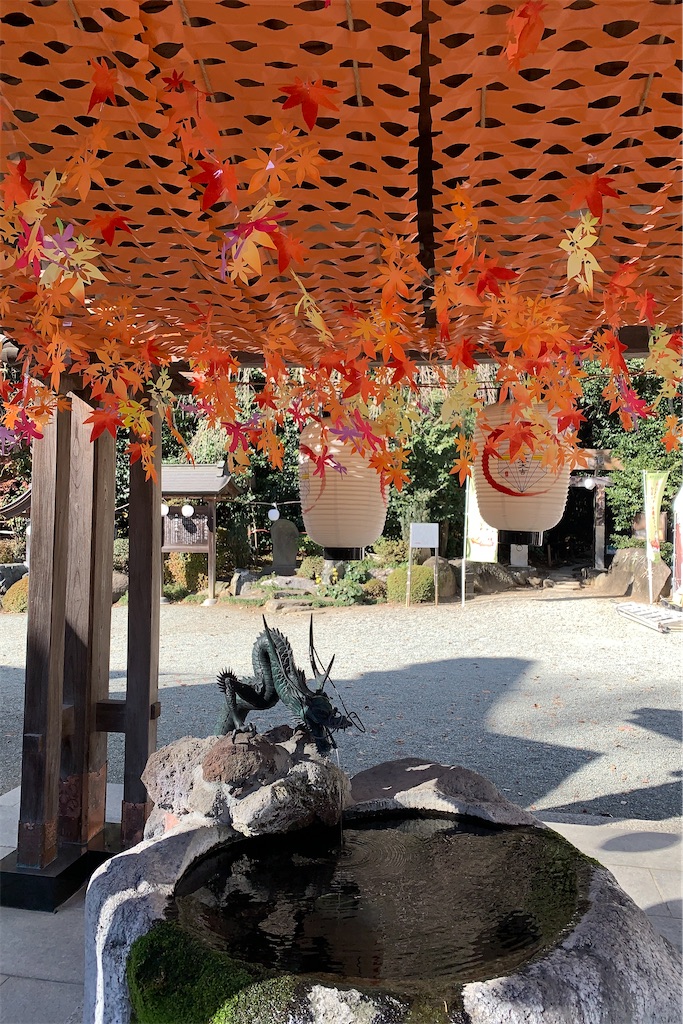 f:id:takafumistyle:20241222221708j:image