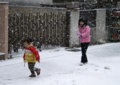 京都新聞写真コンテスト　うれしい雪の朝