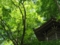 20130524164454