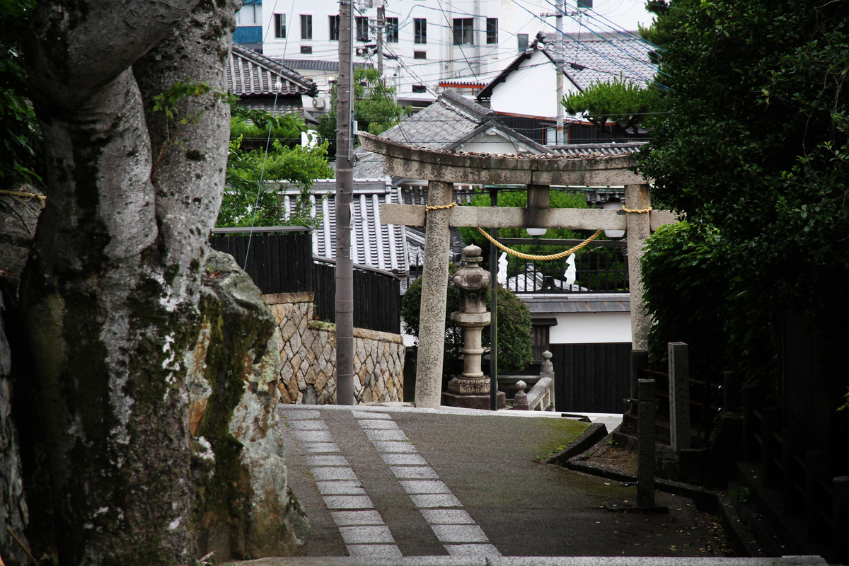 f:id:takagikofu:20190623071130j:plain