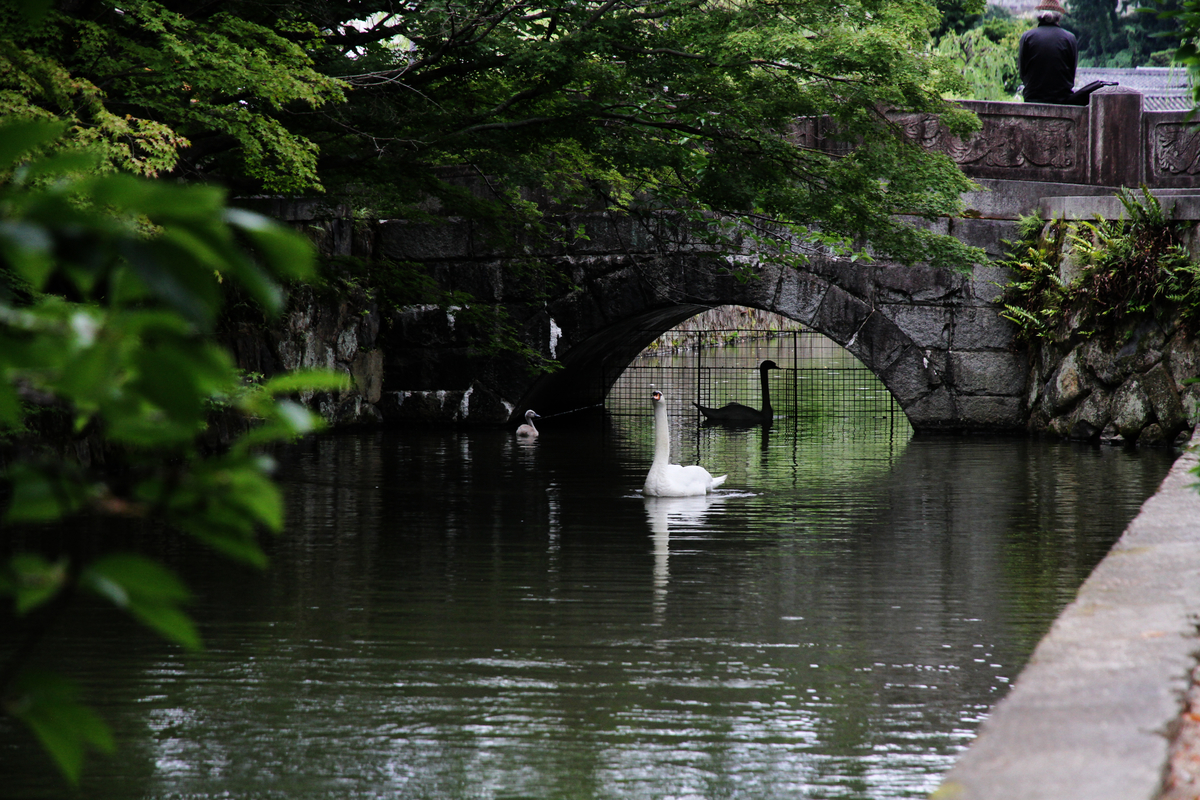 f:id:takagikofu:20190623072728j:plain