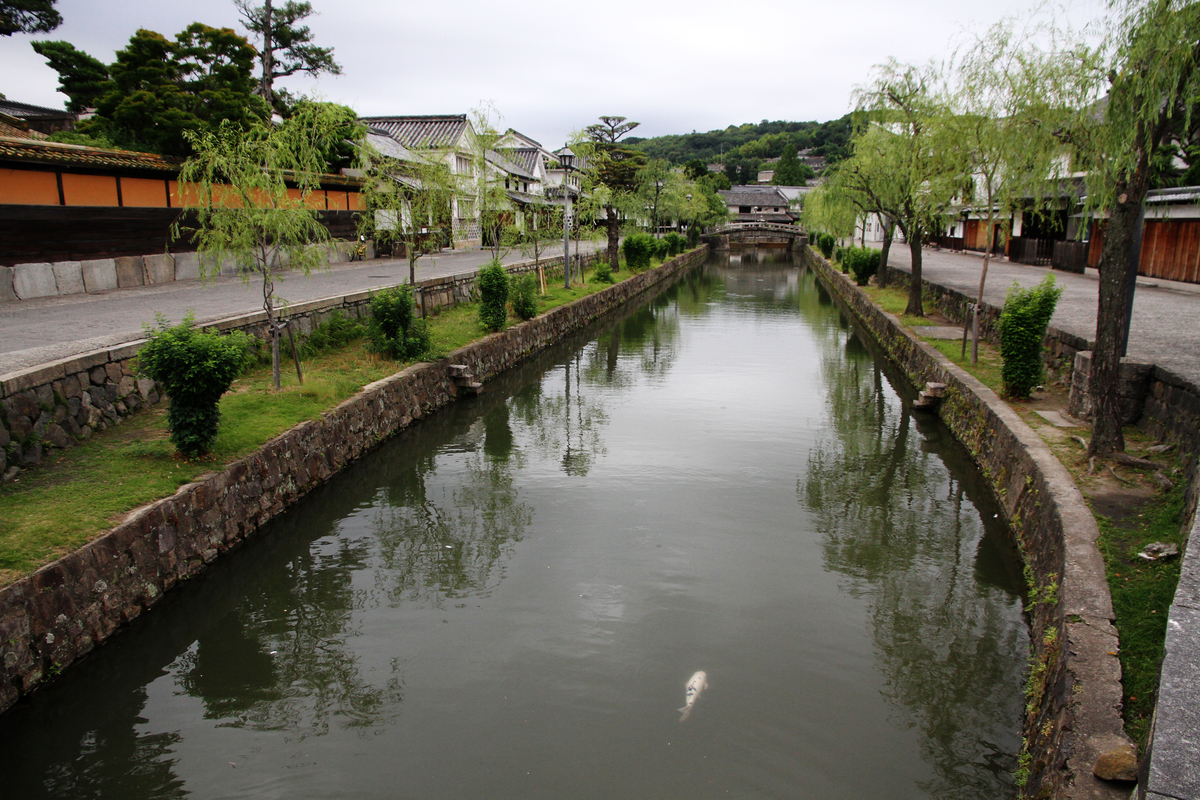 f:id:takagikofu:20190623073130j:plain