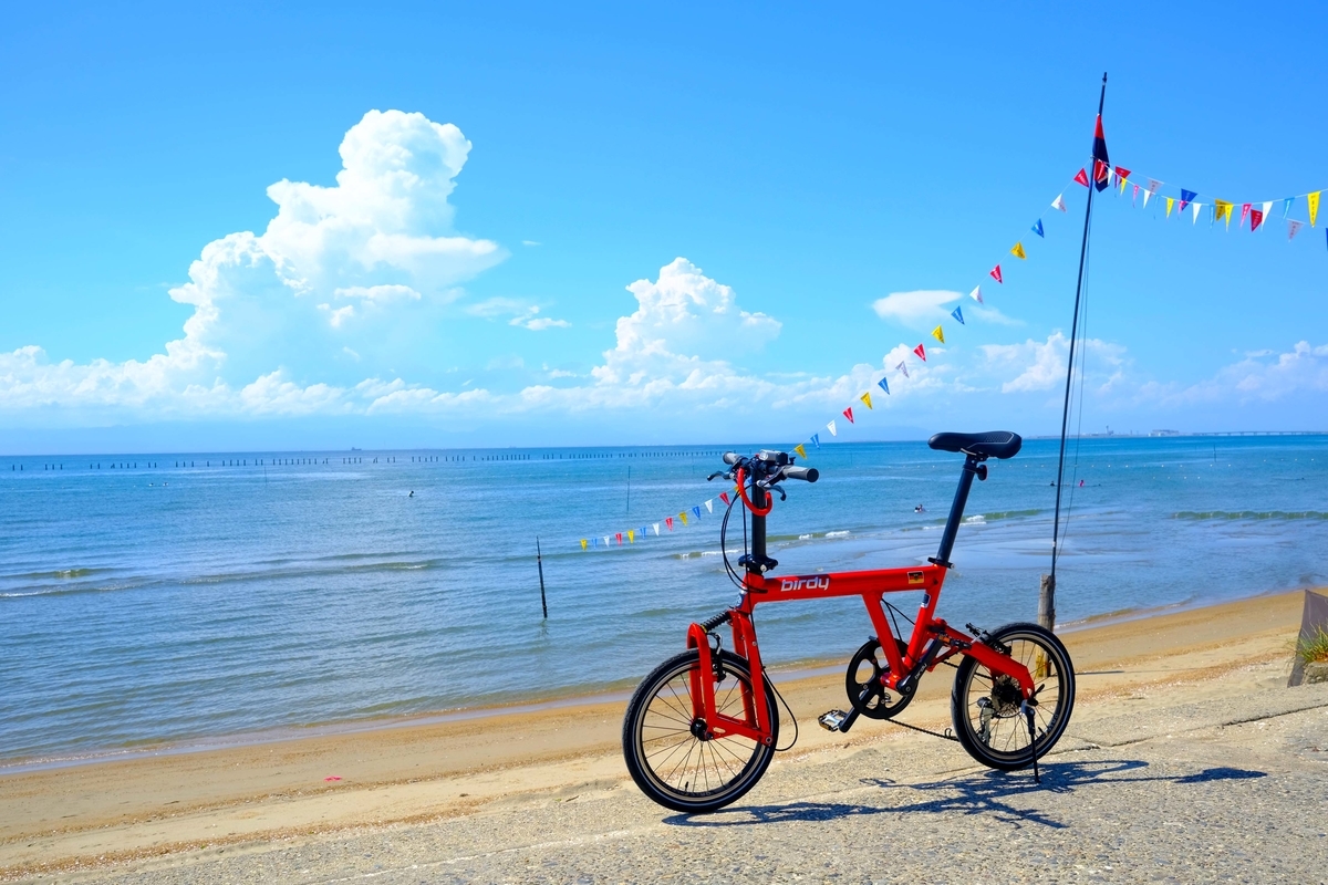 birdy classic 知多半島