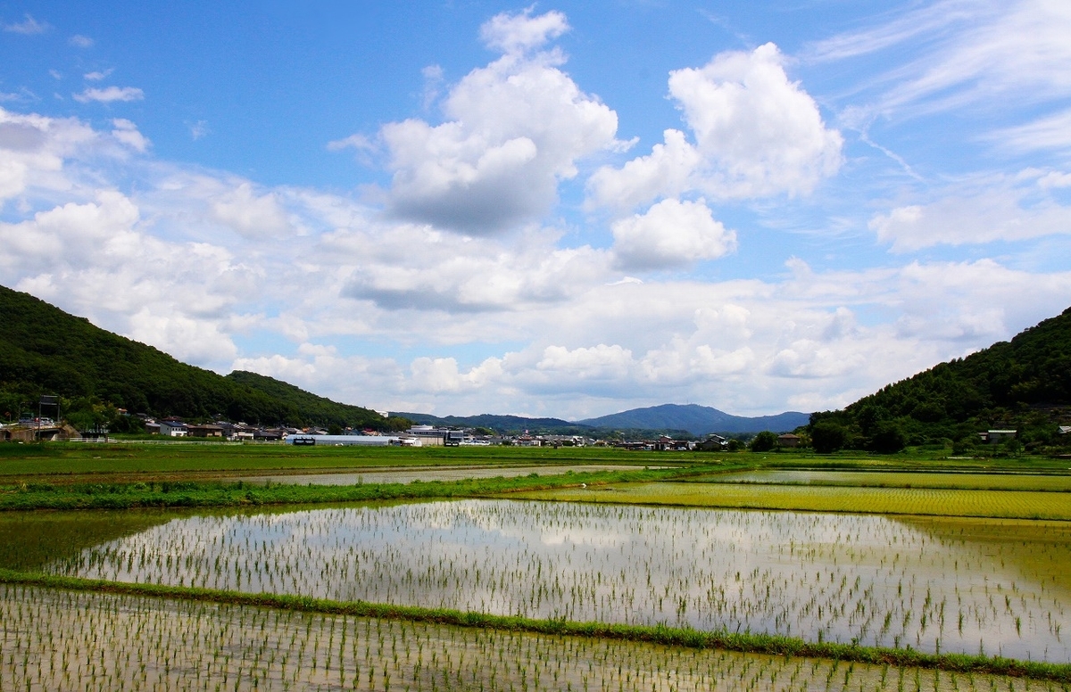 f:id:takagikofu:20200907155544j:plain