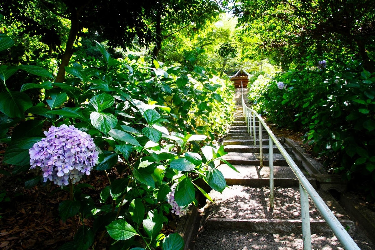 f:id:takagikofu:20200907160754j:plain