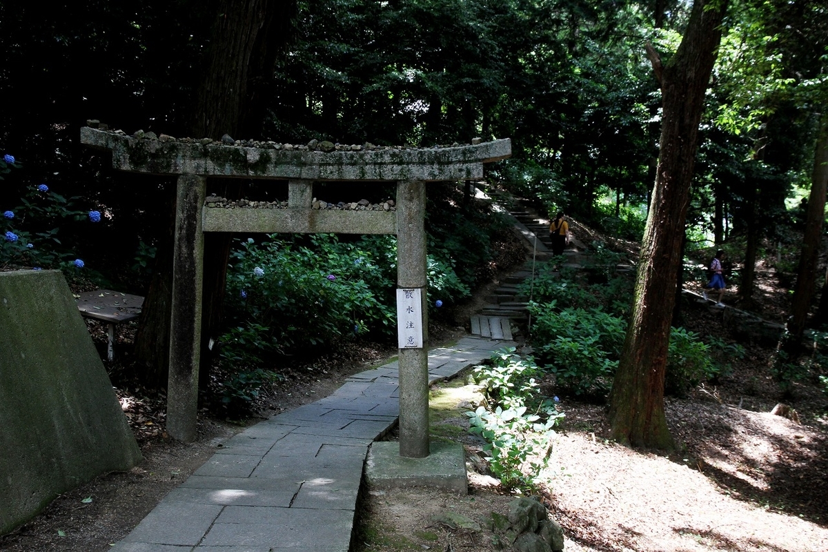 f:id:takagikofu:20200907160811j:plain