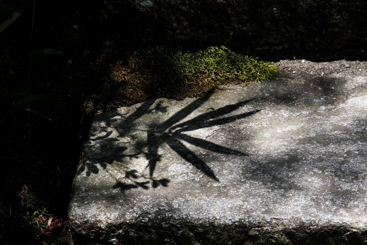 f:id:takagikofu:20200907161151j:plain