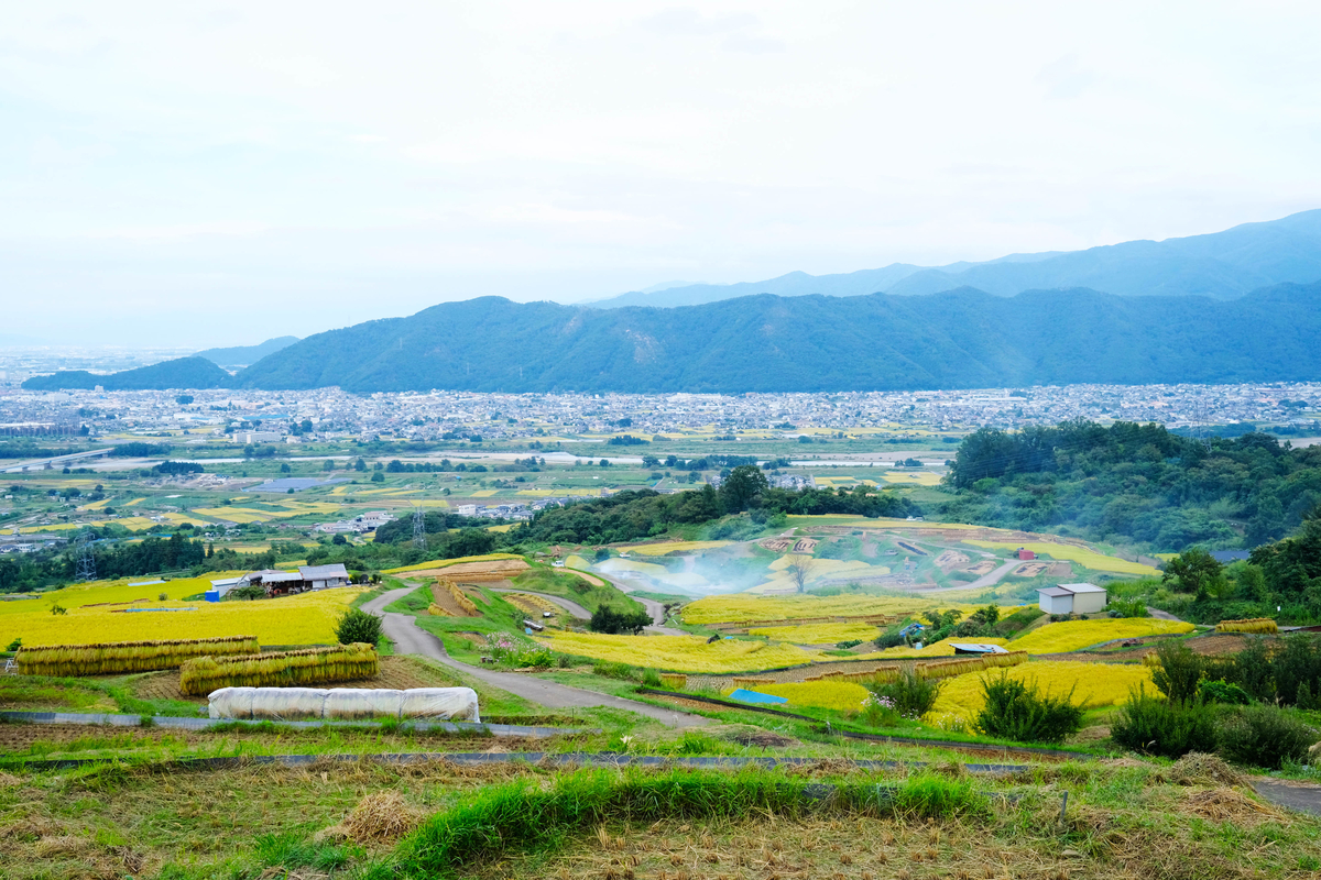姨捨棚田 姨捨駅