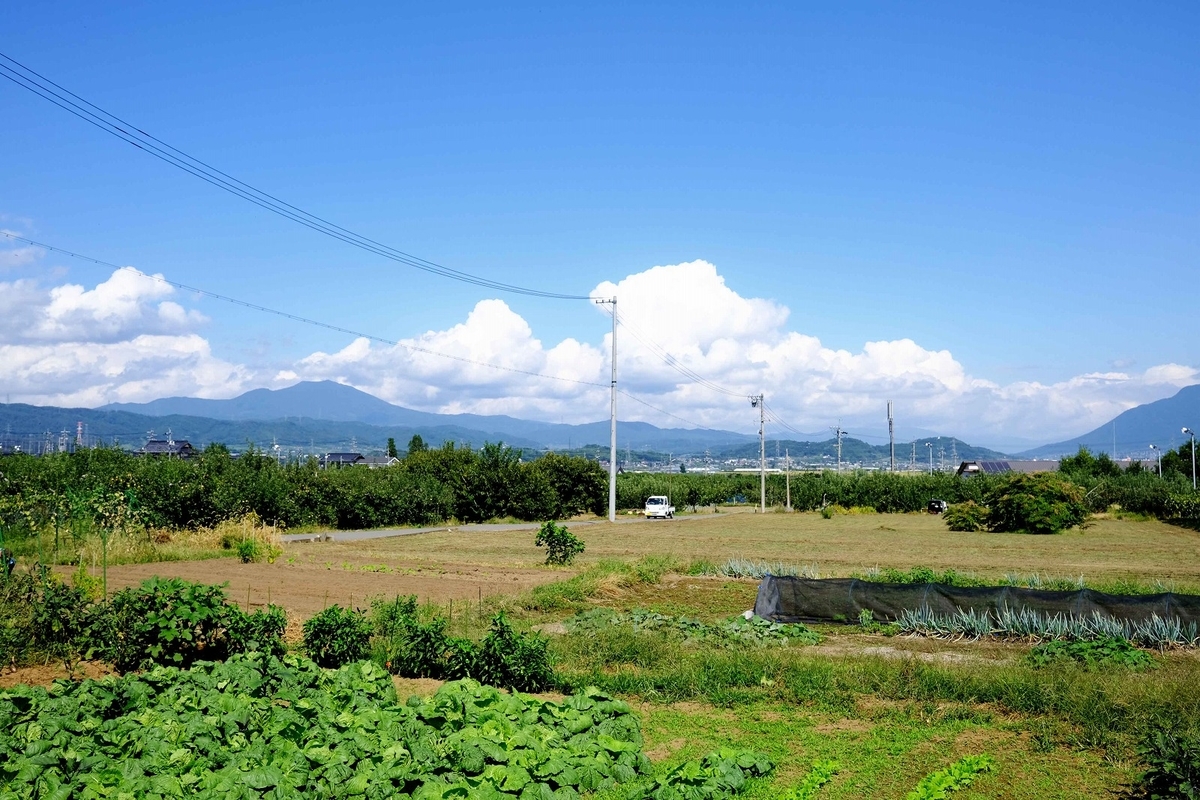 f:id:takagikofu:20210516213046j:plain