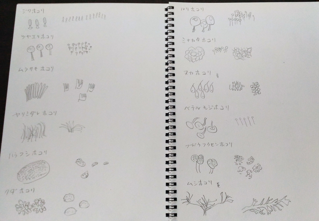 f:id:takagusu:20170311184524j:plain f:id:takagusu:20170311184524j:plain