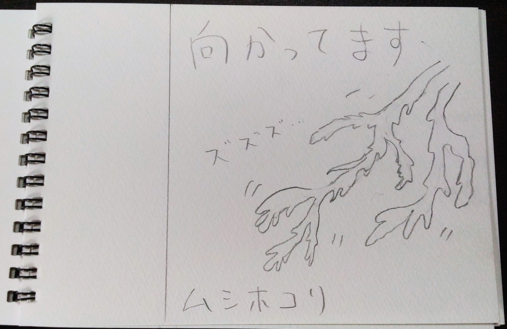 f:id:takagusu:20170311185030j:plain f:id:takagusu:20170311185030j:plain