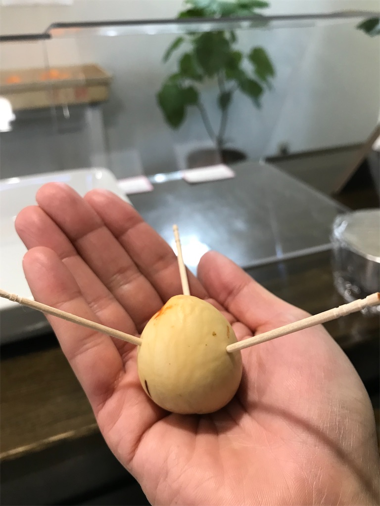 f:id:takahashifarm:20230125165155j:image f:id:takahashifarm:20230125165155j:image