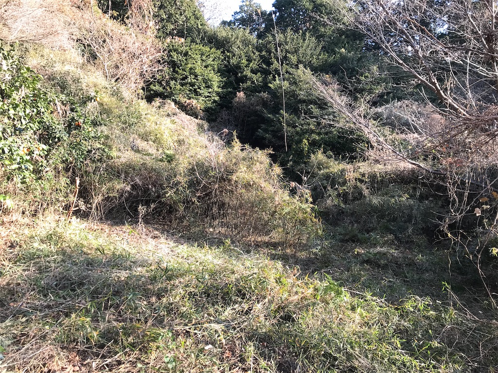 f:id:takahashifarm:20230202214410j:image f:id:takahashifarm:20230202214410j:image