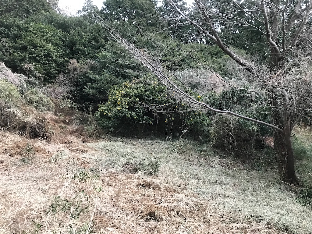 f:id:takahashifarm:20230202214451j:image f:id:takahashifarm:20230202214451j:image