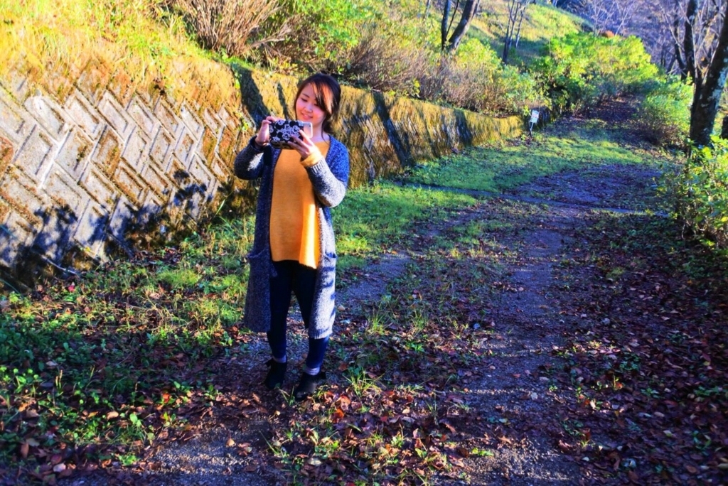 f:id:takahashikuga:20171217111101j:plain