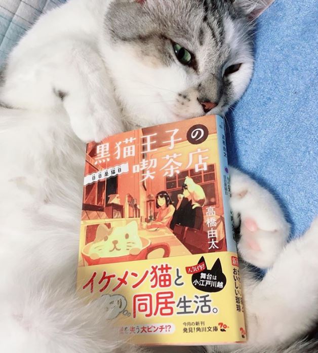 f:id:takahashiyuta2:20190723061756j:plain f:id:takahashiyuta2:20190723061756j:plain