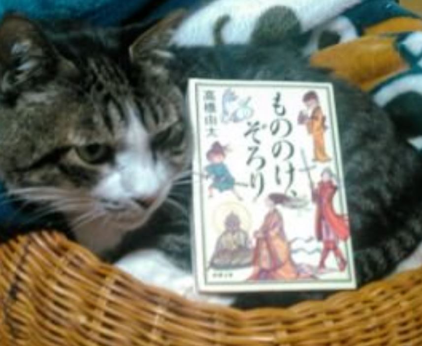 f:id:takahashiyuta2:20190723061804j:plain f:id:takahashiyuta2:20190723061804j:plain