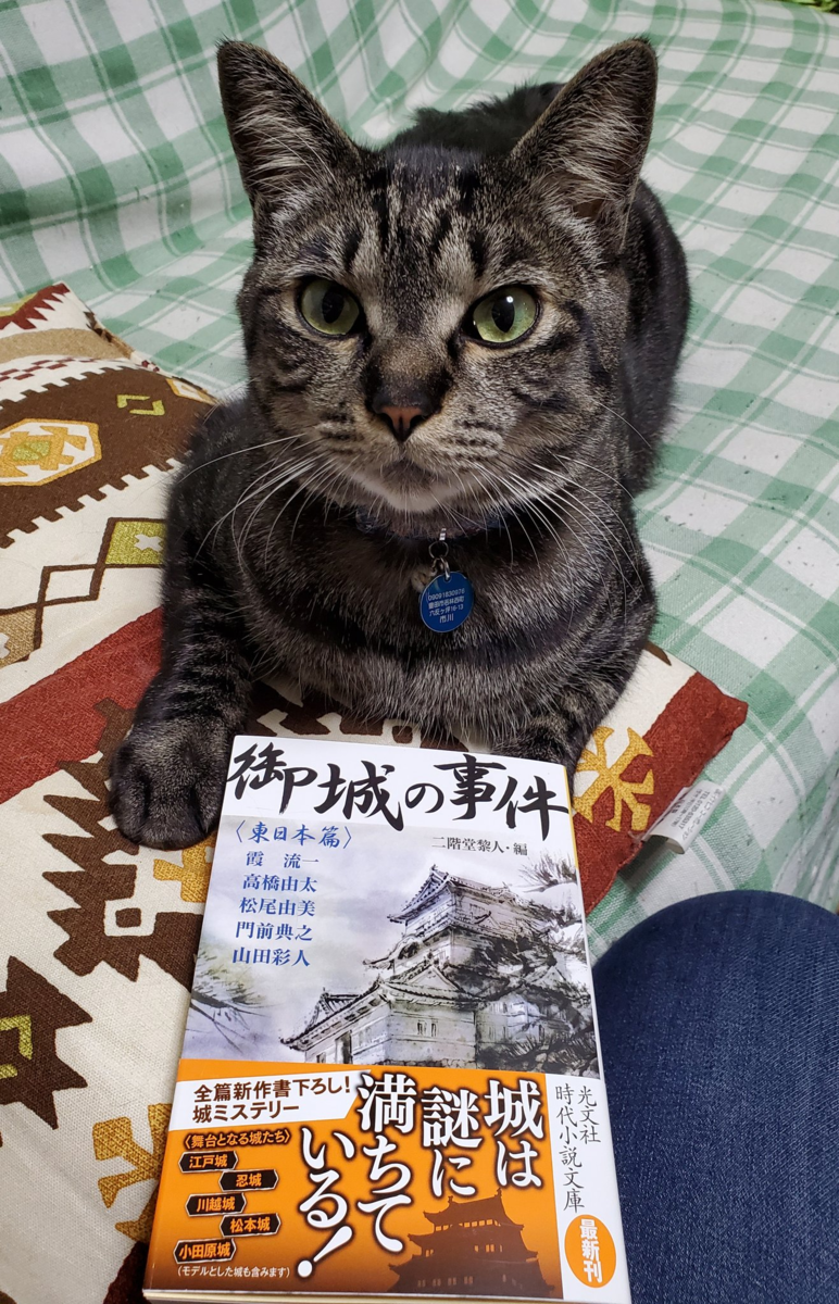 同じ痛みを抱く相手と寄り添っていくだろうふたり 大奥の幽霊 の感想 チャイてまりコポロ Chaikoporotema さん 高橋由太のブログ