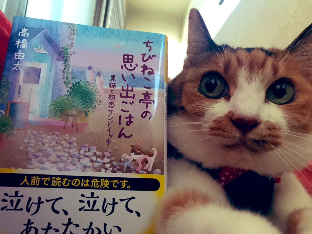 f:id:takahashiyuta2:20200522184106p:plain f:id:takahashiyuta2:20200522184106p:plain