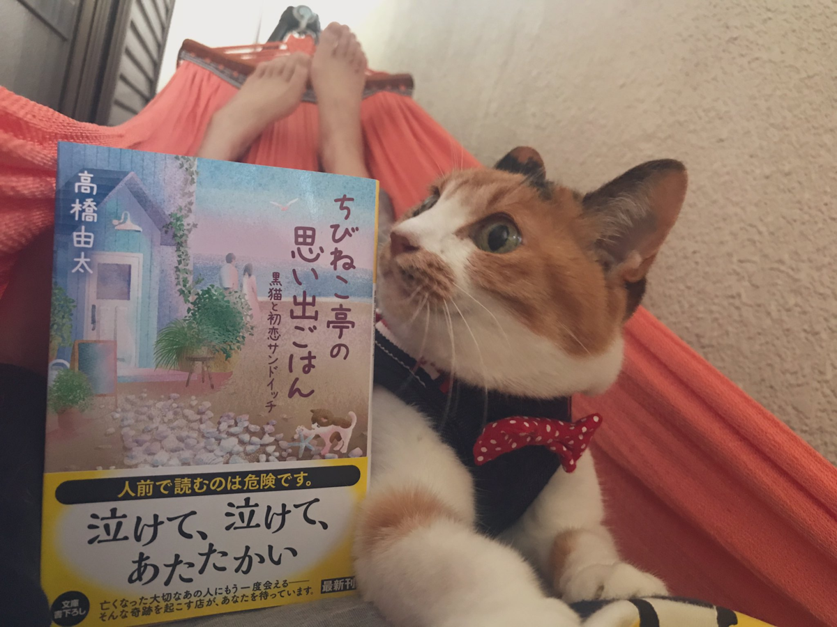 f:id:takahashiyuta2:20200522184127p:plain f:id:takahashiyuta2:20200522184127p:plain