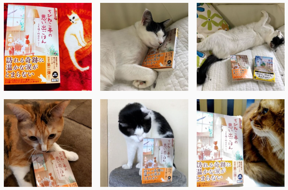クリスマスは猫さんがいっぱい ちびねこ亭の思い出ごはん 年12月25日までのinstagram投稿分 高橋由太のブログ クリスマスは猫さんがいっぱい ちびねこ亭の思い出ごはん 年12月25日までのinstagram投稿分 高橋由太のブログ