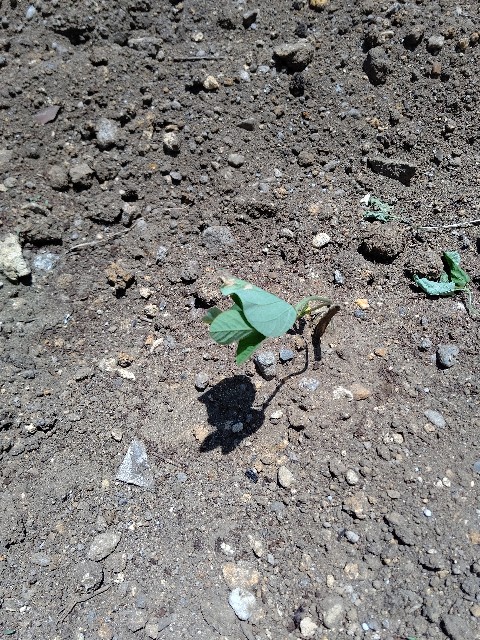 f:id:takahikia:20220607095312j:image f:id:takahikia:20220607095312j:image