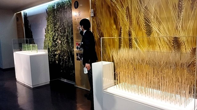 f:id:takahikia:20230217172416j:image