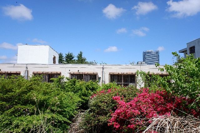 f:id:takahikia:20230502195932j:image