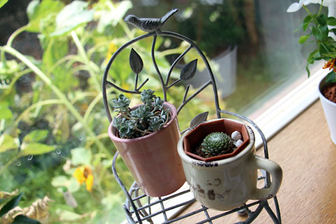 f:id:takahikonojima:20140816194526j:plain