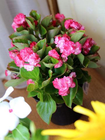 f:id:takahikonojima:20140816194537j:plain