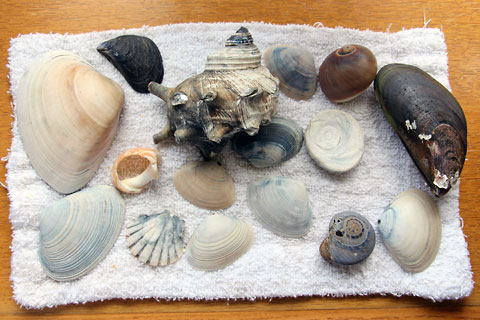 f:id:takahikonojima:20140816195517j:plain