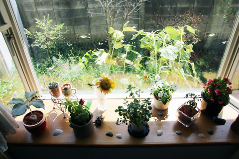 f:id:takahikonojima:20140816202155j:plain