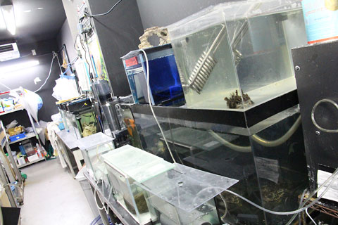 f:id:takahikonojima:20140920204738j:plain f:id:takahikonojima:20140920204738j:plain