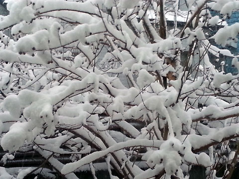 f:id:takahikonojima:20141228095525j:plain