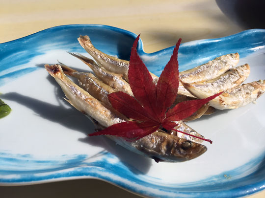 f:id:takahikonojima:20150208122930j:plain f:id:takahikonojima:20150208122930j:plain