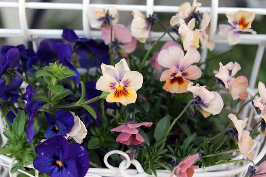 f:id:takahikonojima:20150321183900j:plain