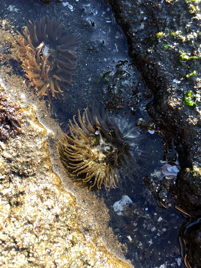 f:id:takahikonojima:20150328224125j:plain