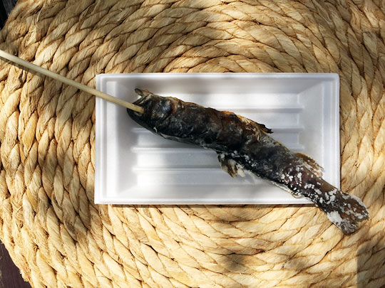 f:id:takahikonojima:20150418193014j:plain