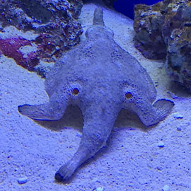 f:id:takahikonojima:20150713101905j:plain